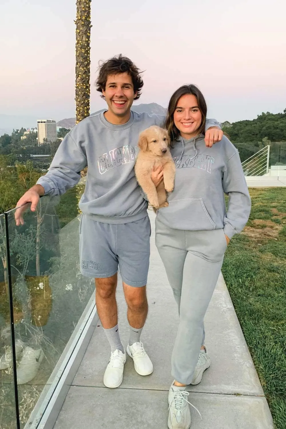 David Dobrik Stone Gray Iridescent Sweatpants