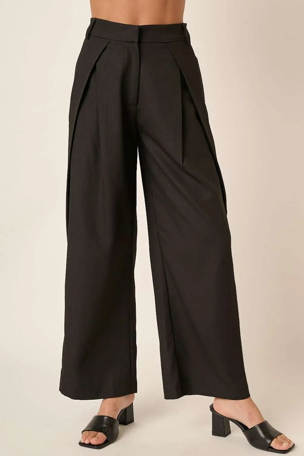 Deep Pleated High Waisted Wide Leg Pants